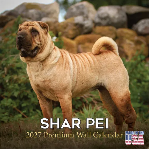 Vista 89 de Calendario de Lebrel Afgano 2025 2026, calendario mensual de pared de raza canina, 12" x 18" abierto, papel grueso sin traspaso, ideal para regalo
