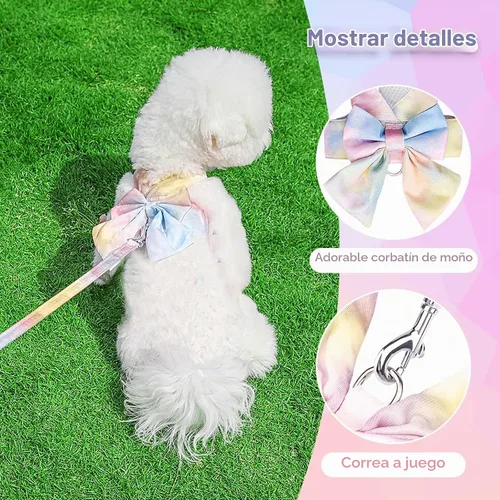 Vista 6 de PETCARE Lindo Arnés de Perro con Corbata de Moño y Juego de Correa Elegante Arnés de Cachorro con Gradiente Arcoíris Sin Tirones Arnés de Malla