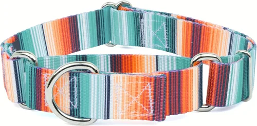 Vista 11 de Country Brook Petz - Collar de perro Albuquerque Martingale - Colección Country and Western con diseños rústicos (1/2 pulgada, 2XS)