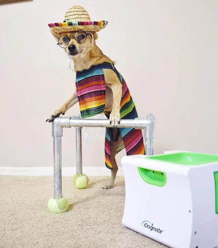 Vista 3 de Pequeño lanzador de bolas interactivo con recargable, lanzador automático de bolas para perros pequeños (máquina pequeña con 3 bolas)