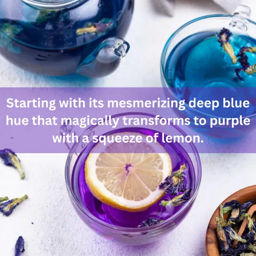 Vista 5 de Flores orgánicas de guisantes de mariposa, té azul de hojas sueltas de hierbas saludables, colorante natural para alimentos, sin cafeína, 1.75 onzas