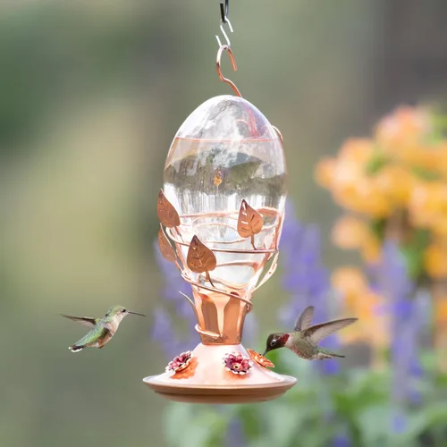 Vista 9 de Perky-Pet 8110H-1 - Comedero de cristal para colibríes para exteriores, capacidad de néctar de 32 onzas