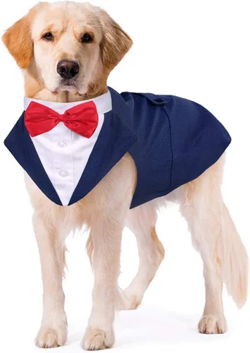 Vista 13 de Kuoser Conjunto de esmoquin para perro, traje de perro y bandana, disfraz Negro