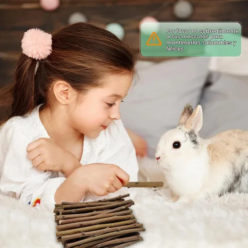 Vista 4 de Jorewood Palitos masticables de madera de manzana natural de 1 libra (16 onzas) para conejos, hámsters, chinchillas, juguete para moler dientes