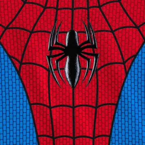 Vista 3 de Disfraz de Spider-Man PJ PALS para niños