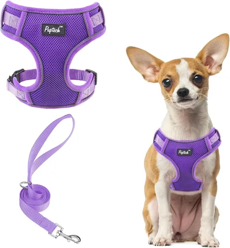 Vista 40 de PUPTECK Juego de arnés y correa para perro pequeño, arnés ajustable sin tirones para cachorro, chaleco de malla suave reflectante para mascotas