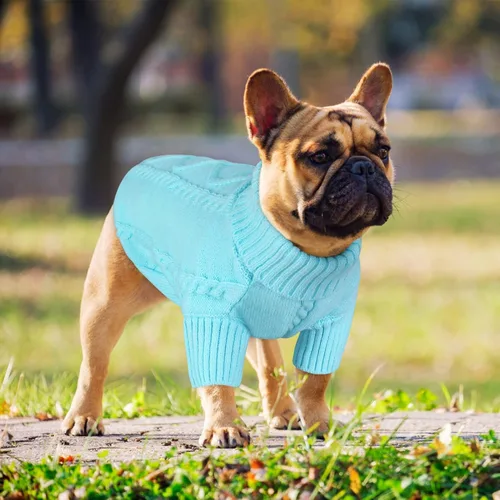 Vista 80 de Queenmore - Suéter de punto trenzado con cuello alto para perros pequeños, para climas fríos, para chihuahua, bulldog, teckel, carlino y yorkie, XS
