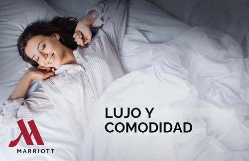 Vista 4 de Marriott Hotel Almohada de plumón - Almohada oficial de Marriott , Sintético, Blanco, Estándar