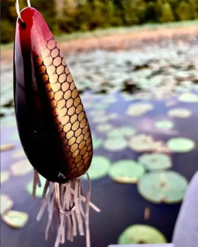 Vista 2 de Heddon Señuelo de pesca Moss Boss Topwater - Se desliza a través de una cubierta pesada