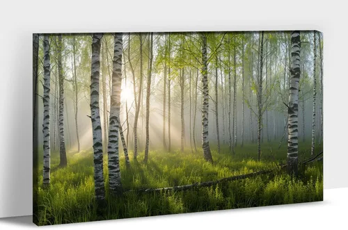 Vista 21 de UZMKM Lienzo decorativo de abedul para pared, pintura de bosque otoñal, imagen panorámica de paisaje, vista de la naturaleza amarilla, obra de arte