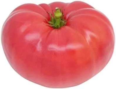 Vista 2 de Hortalizas de jardín de tomate ponderosa rosadas de gran reliquia de Seed Kingdom a granel de 1 onza
