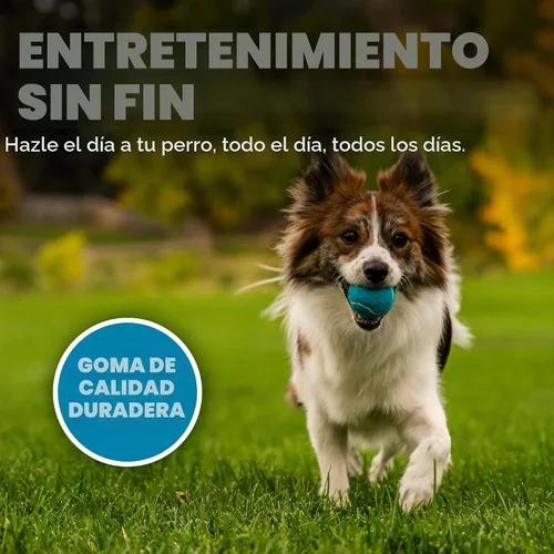 Vista 4 de Outward Hound Squeaker Ballz - Pelota de tenis para perro, pequeño, 2 Bolas chirriantes múltiples