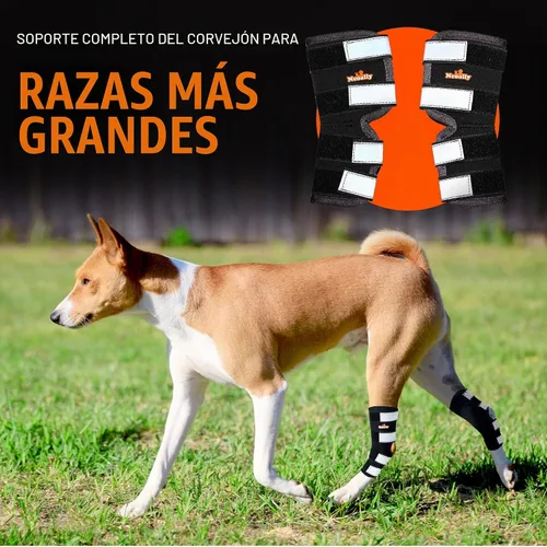 Vista 2 de NeoAlly® - Soporte de pierna trasera, soporte de pierna de perro para pierna trasera, soporte de tobillo y soporte para patas traseras, soporte