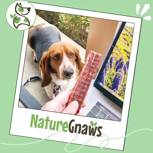 Vista 6 de Nature Gnaws Beef Gullet - Golosinas masticables para perros pequeños de 4 a 5 pulgadas (20 unidades) - Golosinas masticables de carne seca natural