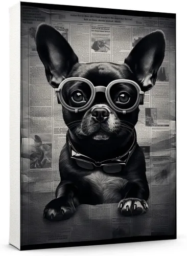 Vista 105 de Thuan Affenpinscher - Póster de lienzo con tus fotos, arte de pared para decoración del hogar, regalo conmemorativo para amantes de las mascotas