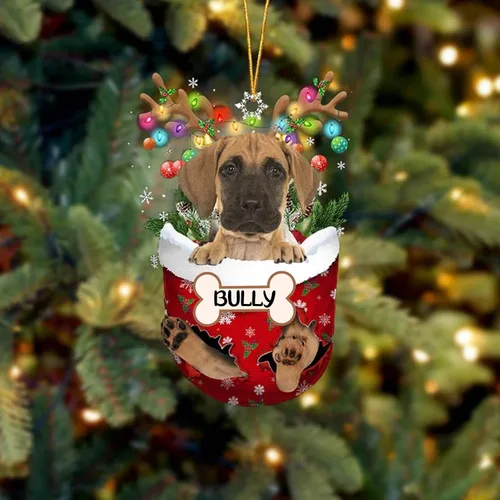 Vista 211 de IZI POD Affenpinscher Adorno de Navidad personalizado para perro, adorno de bolsillo de nieve para perro para árbol de Navidad, adorno acrílico