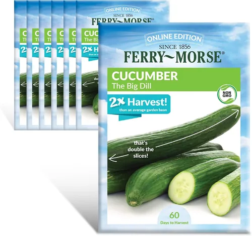 Vista 16 de Ferry-Morse Edición Online Bean Blue Lake Bush 274 Semillas Orgánicas Multipack – Paquete de 8