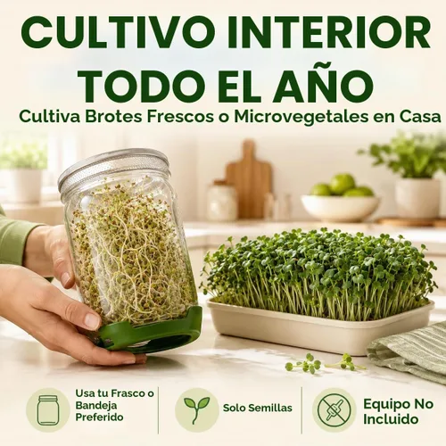 Vista 7 de Gardeners Basics Semillas de brócoli para germinar, semillas microverdes a