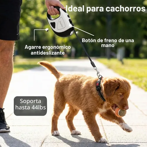 Vista 3 de BoldPet® Correa retráctil para perro con linterna LED, correa larga sin enredos de 10 pies, agarre antideslizante, correa retráctil para perros