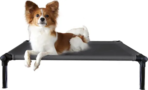 Vista 9 de Starmark Dog Zone Cama Mediana Sunset Gold