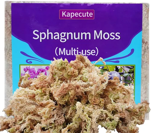 Vista 9 de 5oz de musgo sphagnum para propagación de plantas, excelente mezcla para macetas de orquídeas, ayuda a mantener la humedad