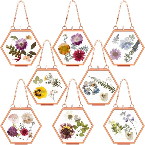 Vista 7 de Marsui 8 Piezas Marcos de Flores Prensadas 4 x 3 Pulgadas Marcos de Fotos Flotantes de Vidrio Colgantes para Flores Prensadas Vidrio Doble Imagen