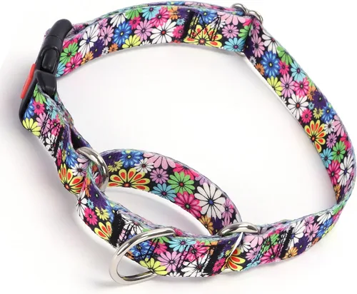 Vista 5 de Collar Martingale para perros con hebilla, antideslizante, a prueba de escapes, collares limitados para mascotas, cierre a presión con cierre