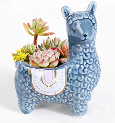 Vista 4 de Lindas macetas suculentas de alpaca maceta de cerámica pequeña cactus maceta azul