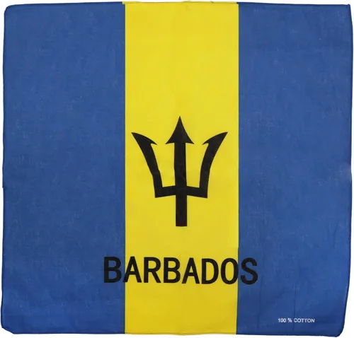Vista 16 de Motique Accessories Bandanas grandes de algodón - Banderas de país