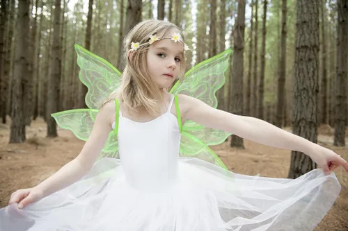 Vista 3 de ALIBBON Fairy Wings Transparent Fairy Wings Costume, Glitter Butterfly Wings Dress Up Accessories