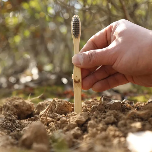Vista 3 de Isshah Cepillos de dientes de carbón de bambú, 12 unidades con púas de hilo dental natural, 200 unidades y hisopos de algodón de bambú, 500