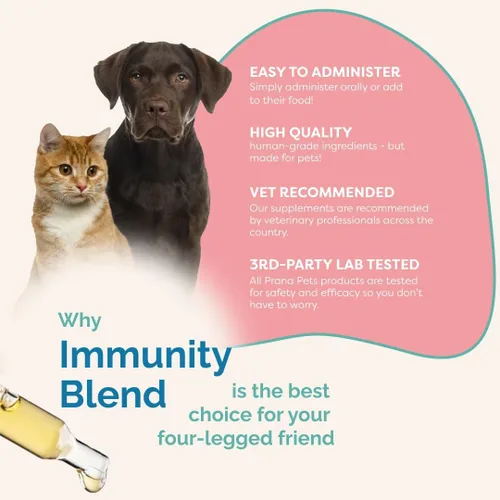 Vista 5 de PranaPets Suplemento de mezcla de inmunidad para perros y gatos Ayuda naturalmente a aliviar la fatiga y la debilidad en las mascotas Promueve
