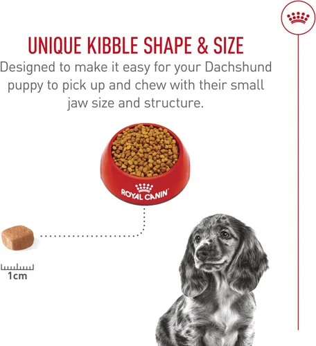 Vista 5 de ROYAL CANIN Dachshund Puppy - Alimento seco para perros, bolsa de 2.5