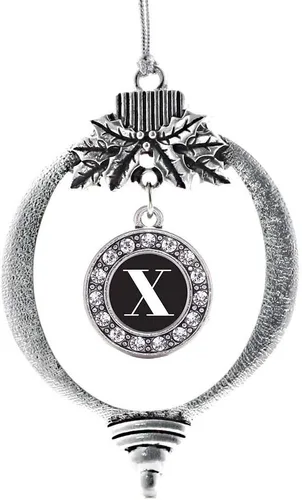 Vista 299 de Inspired Silver - Adorno de cromosoma 21 con dije de círculo de plata con joyas de circonita cúbica