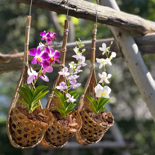 Vista 7 de cesta colgante de orquídea hecha a mano 100% de bambú tailandés – 4 pulgadas, juego de 3