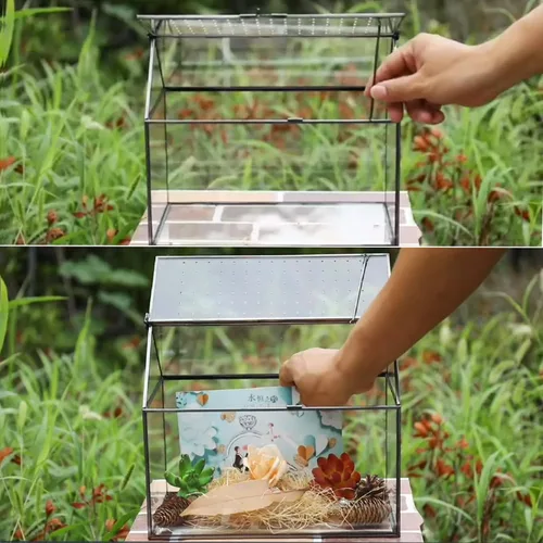 Vista 4 de HighFree Terrario geométrico de vidrio con tapa acrílica, terrario negro con forma de casa con agujeros de respiración para caracoles, suculentas