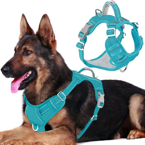 Vista 41 de BARKBAY Arnés Oxford sin tirones para perro con bolsillo para etiqueta de identificación, resistente, reflectante, fácil control para perros grandes