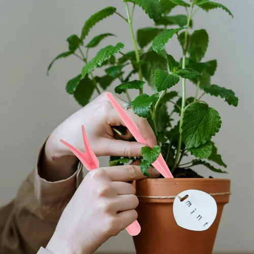 Vista 8 de Garden Widger Dibber - Juego de 10 juegos al azar para el hogar, maceta, manualidades, plantación