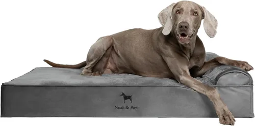 Vista 24 de NOAH & PAW Cama pequeña para perros, 20 x 15 x 6.5 pulgadas, cama para gatos de interior, espuma viscoelástica ortopédica de cáscara de huevo Verde