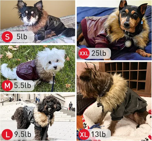 Vista 5 de Chamarra impermeable Lesypet de cuero para perro, abrigo invernal para perros pequeños y medianos, Negro