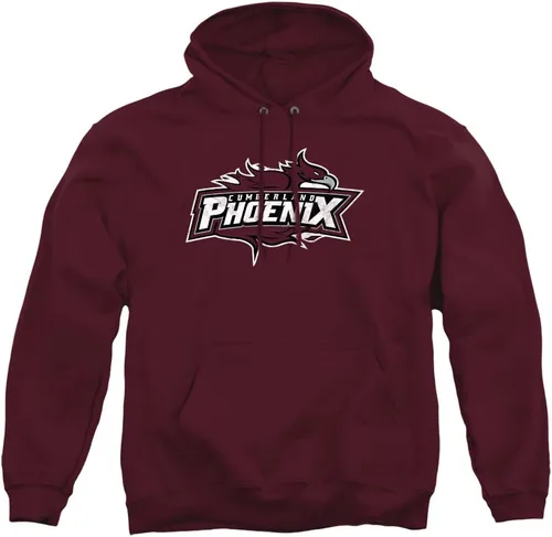 Vista 168 de Distressed College Primary Logo Adult Pullover Hoodie Collection 1 Universidad Estatal de Albany