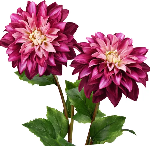 Vista 12 de FiveSeasonStuff Flores artificiales de seda de dalia para exteriores e interiores y jarrones altos, 2 tallos (ámbar amarillo otoño)
