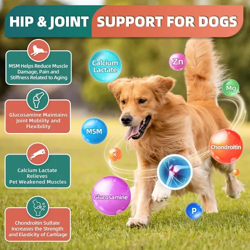 Vista 5 de Multivitamínico para perros, vitaminas y suplementos para perros, multivitamínico para perros con glucosamina, probióticos y Omega 3