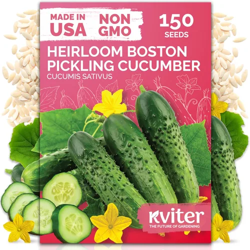 Vista 23 de KVITER 50 semillas de calabaza de azúcar orgánicas (Cucurbita Pepo) – Semilla de calabaza pequeña reliquia, carne dulce de grano fino para enlatar