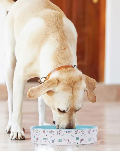 Vista 7 de Cuenco para perros de alimentación lenta, cuencos de cerámica de 8 pulgadas Azul