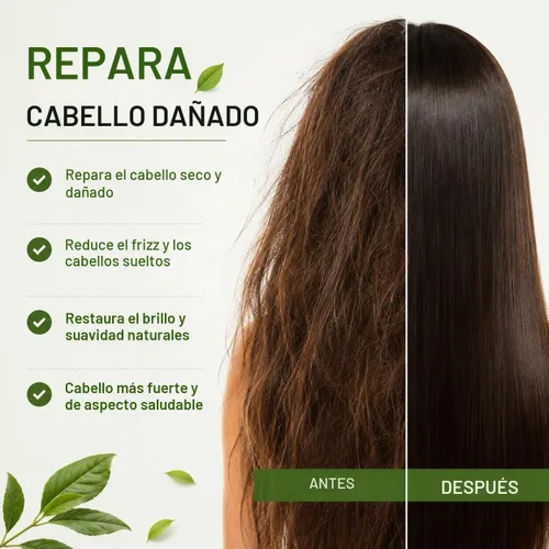 Vista 6 de Aceite natural hecho a mano para el cabello de cebolla – 4 onzas Mezcla de hierbas para el rebrote y el control de caídas Aceites esenciales
