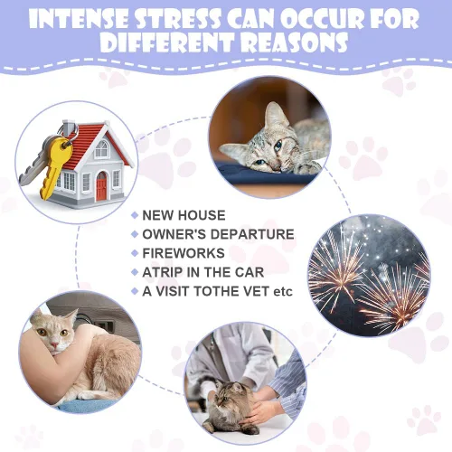 Vista 5 de AOMIG Aerosol calmante para gatos, feromonas para gatos, reduce el estrés y la ansiedad, arañazos, lucha contra orinar muebles para marcar orina