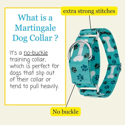 Vista 4 de Country Brook Petz - Collar de perro Oh My Dog Martingale - Colección Dog's Life con 1 diseño divertido (1 1/2 pulgadas, mediano)