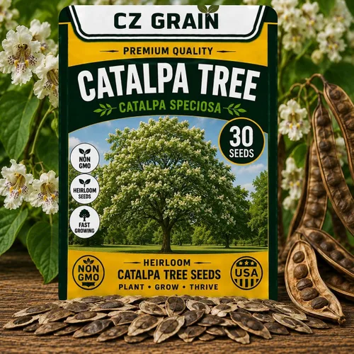 Vista 61 de CZ Grain Semillas para plantar, 40 pequeñas mezclas de calabaza