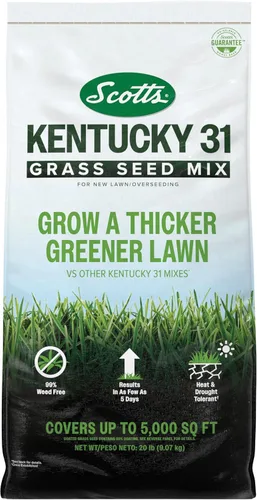 Vista 13 de Scotts Mezcla de semillas de césped Kentucky 31 para césped nuevo o sobresiembra, crece más gruesa y verde en comparación con otras mezclas Kentucky